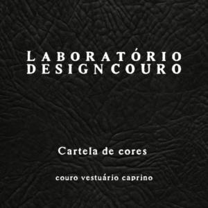 Cartela de cores couro